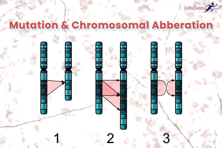 Mutation & Chromosomal Abberation
