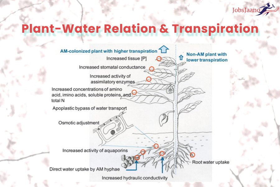 Nutrition in Plants MCQs with Answers Plant-Water Relation & Transpiration