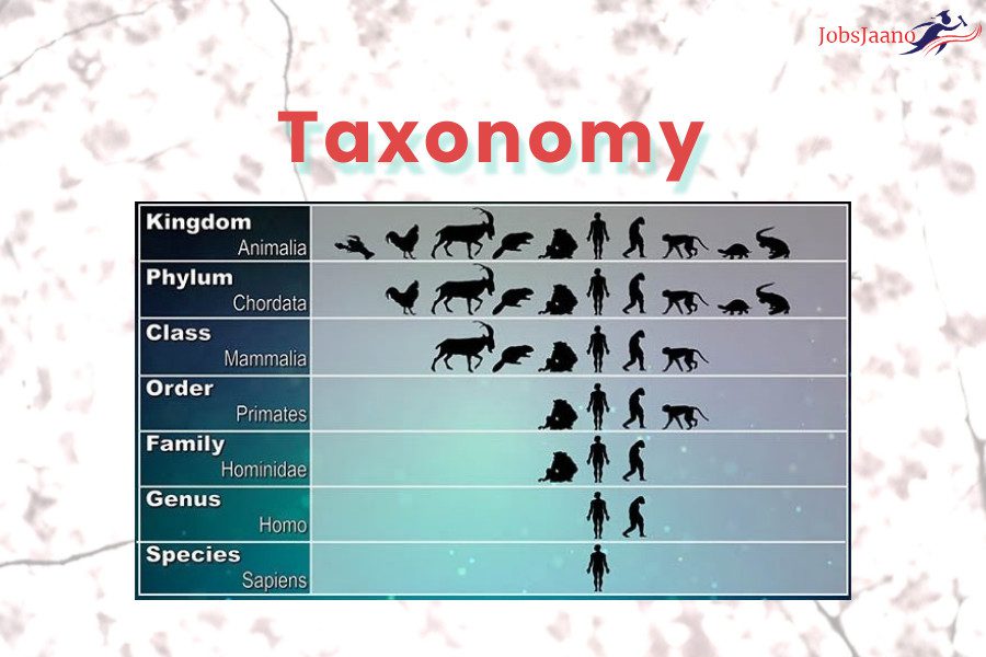Taxonomy mcqs