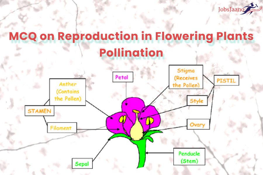 mcq on reproduction in flowering plants pollination