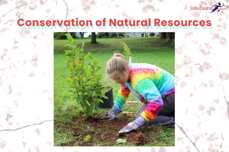 Mcq On Conservation Of Natural Resources Jobsjaano 