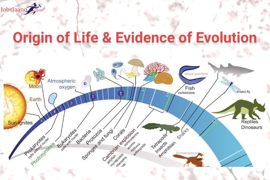 Origin of Life & Evidence of Evolution