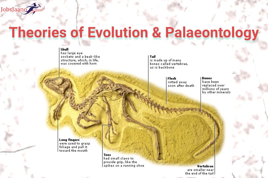 Theories of Evolution & Palaeontology