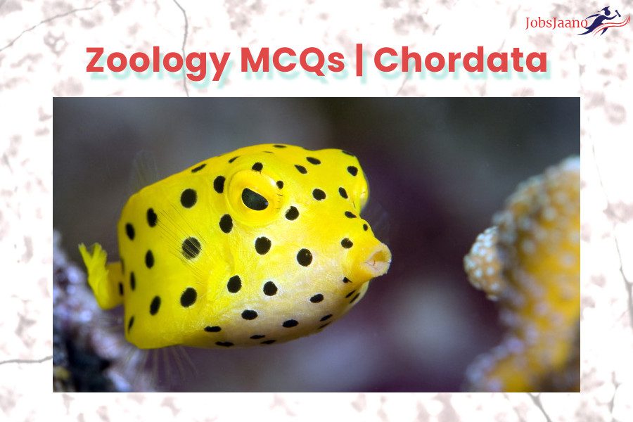 Zoology MCQs Online Test Chordata