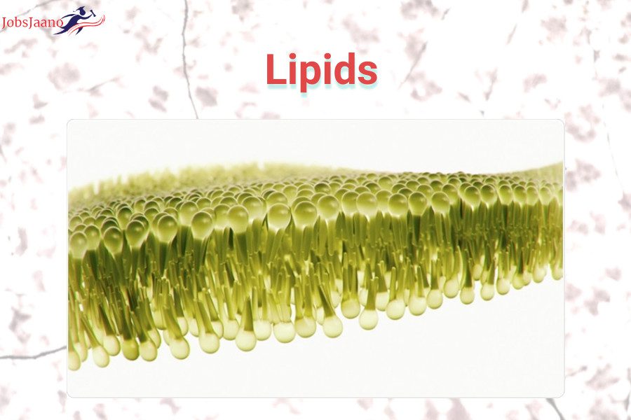 MCQs of Lipids