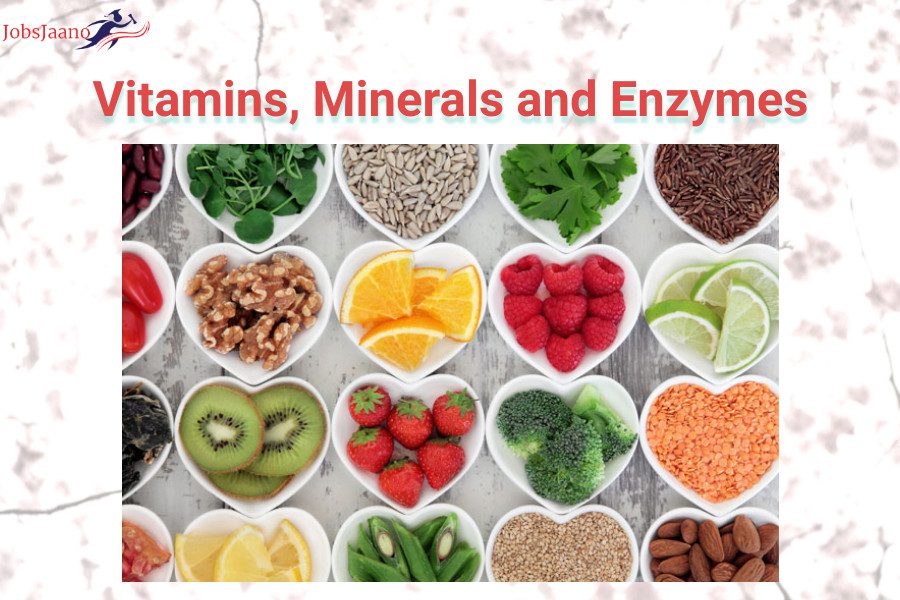 Vitamins, Minerals and Enzymes