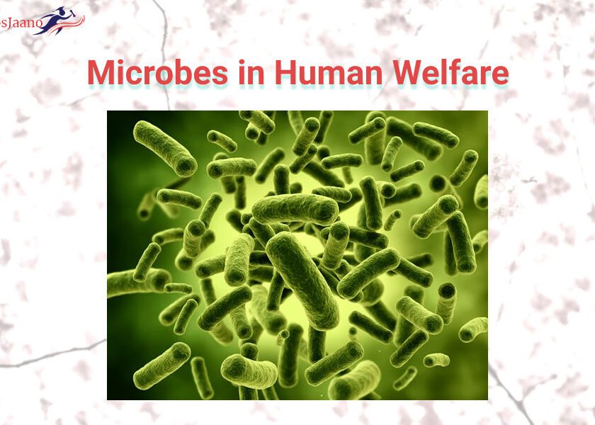 Microbes-in-Human-Welfare