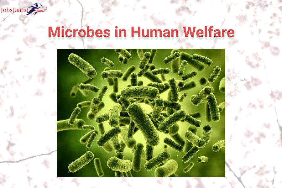 Microbes-in-Human-Welfare
