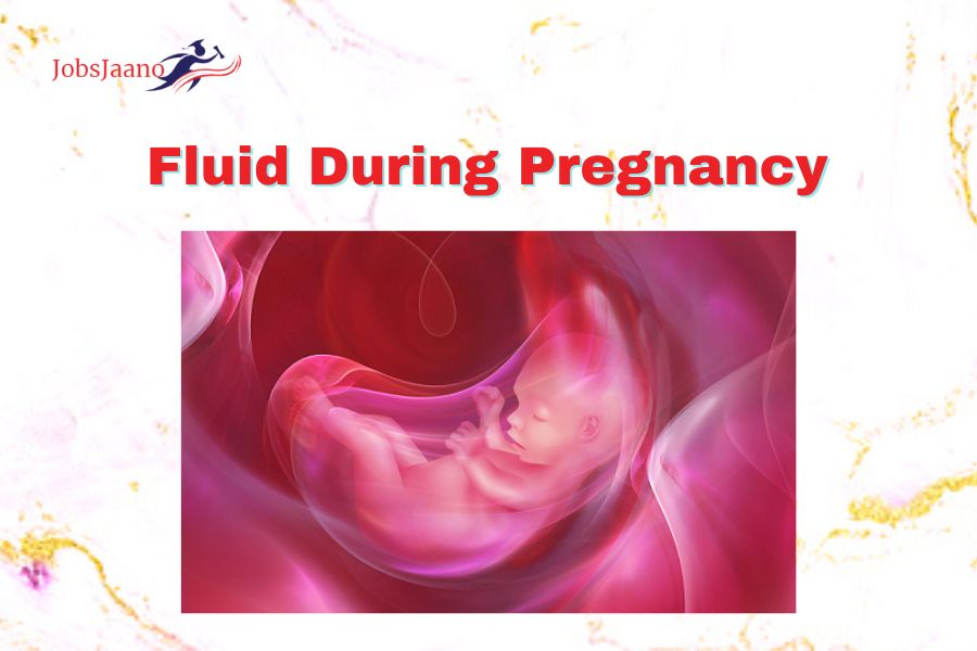 Fluid During Pregnancy
