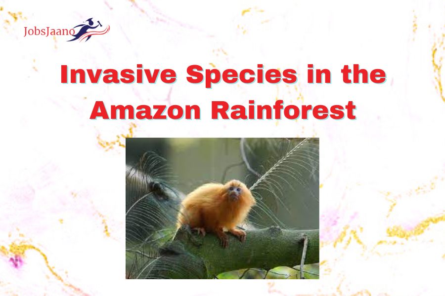 Invasive Species in the Amazon Rainforest