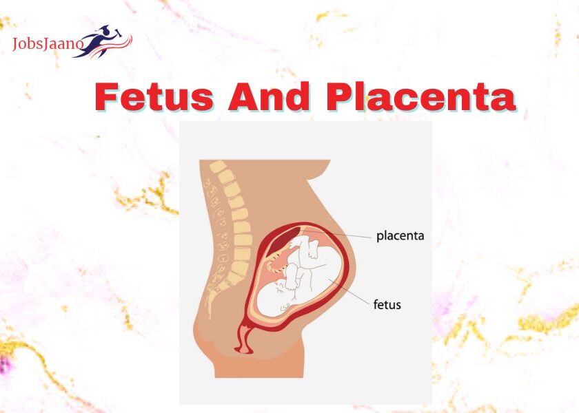 Premature Fetus Abruptio Placentae Placenta