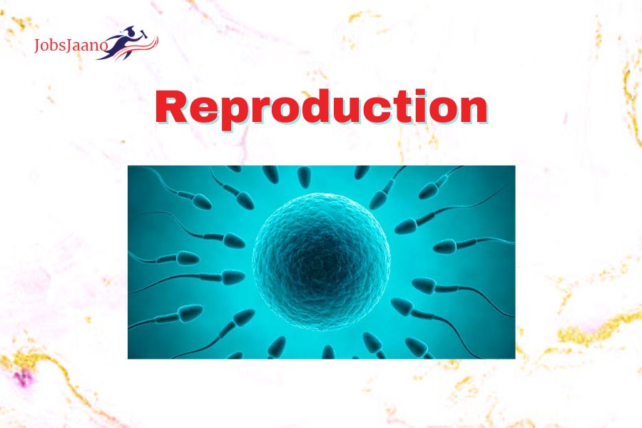 Reproduction Animal, Bat, Pangolin Reproduction, Monarch Butterfly, Jellyfish Reproduction