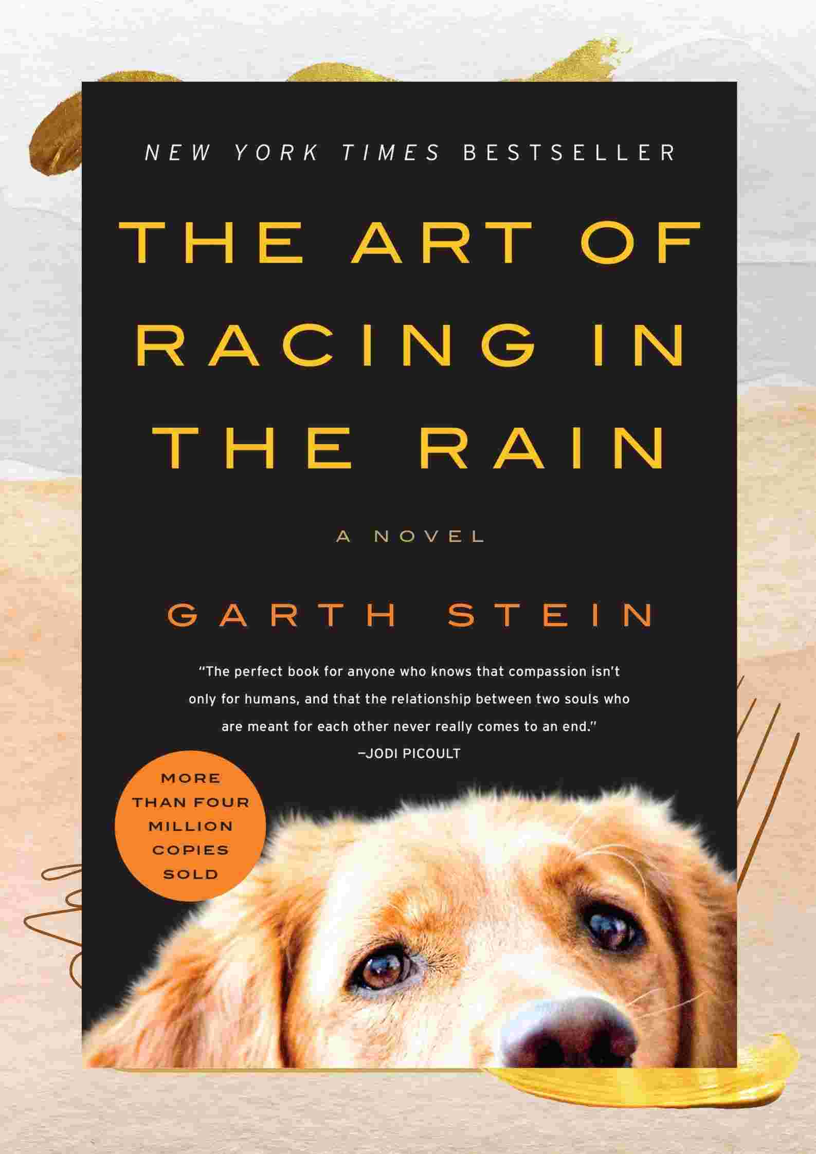 The art of racing in the rain book summary