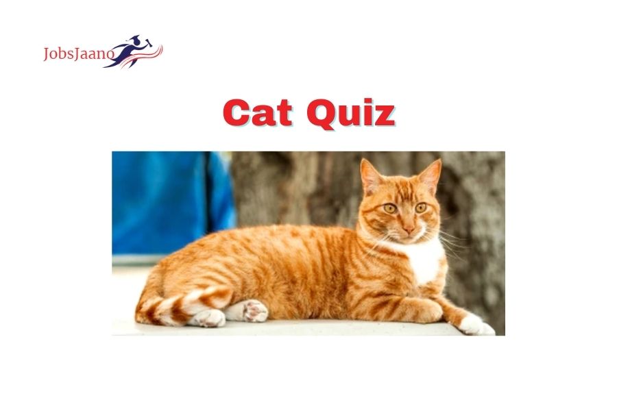 [Top 20] Cat Quiz Questions with Answers
