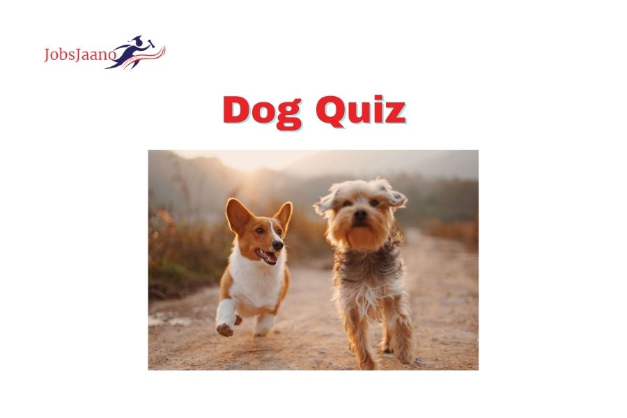 [Top 20] Dog Breed Quiz Questions and Answers