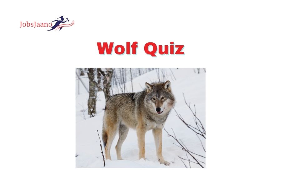 [Top 20] Wolf Quiz Questions and Answers