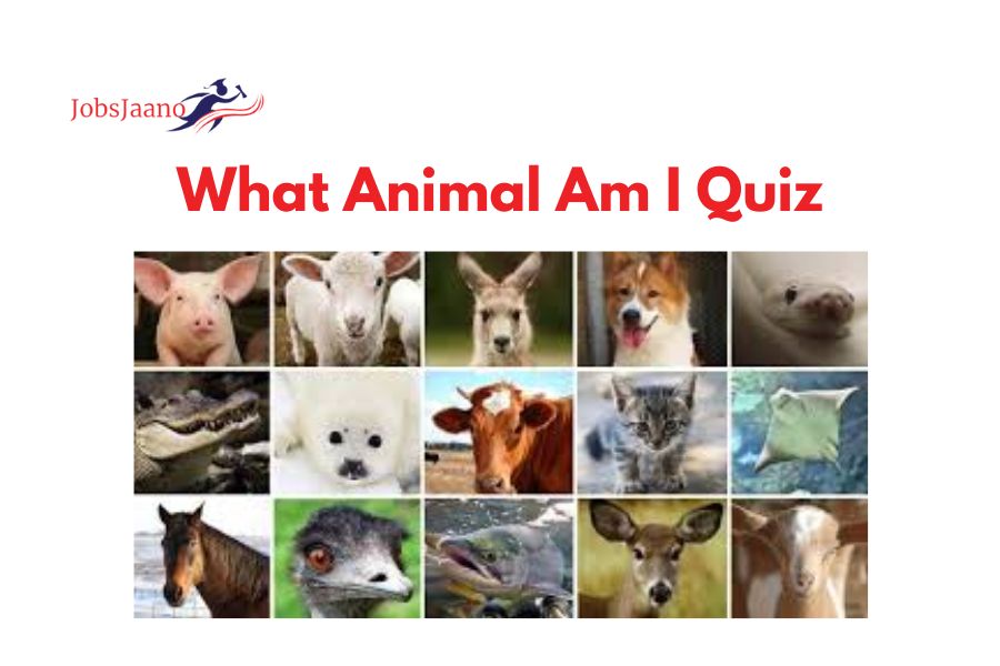 What Animal Am I Quiz