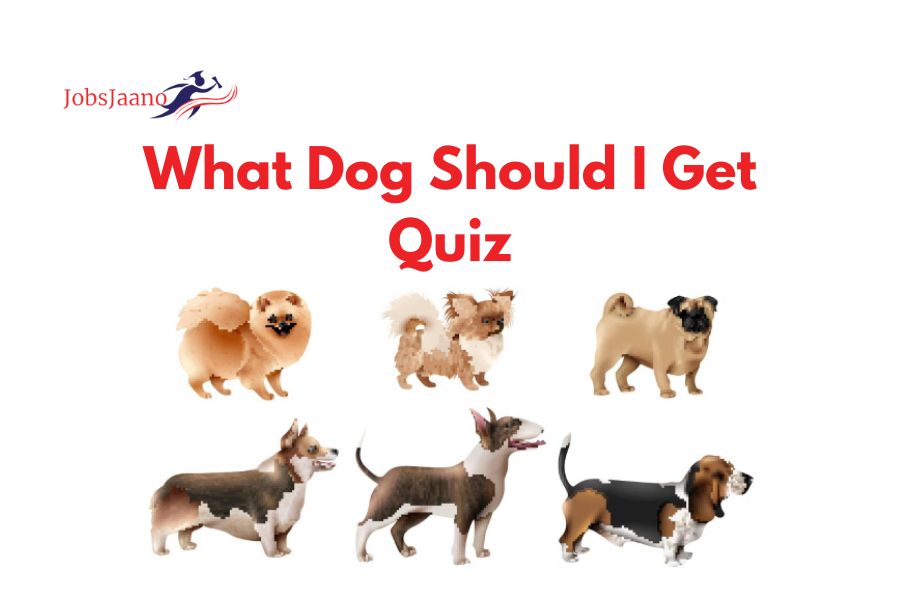 What Dog Should I Get Quiz
