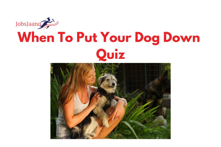 When To Put Your Dog Down Quiz